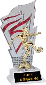 Engraved trophy sport trophy