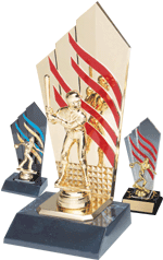 Engraved trophy sport trophy