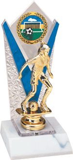 Engraved trophy sport trophy