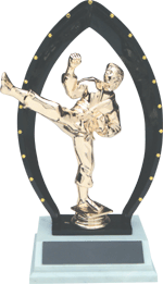 Engraved trophy sport trophy