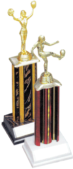 Engraved trophy sport trophy