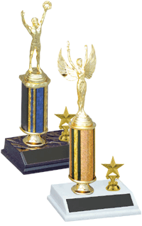 Engraved trophy sport trophy