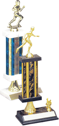 Engraved trophy sport trophy