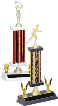 Engraved trophy sport trophy