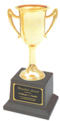Engraved Trophy Cup Metal trophy Cup