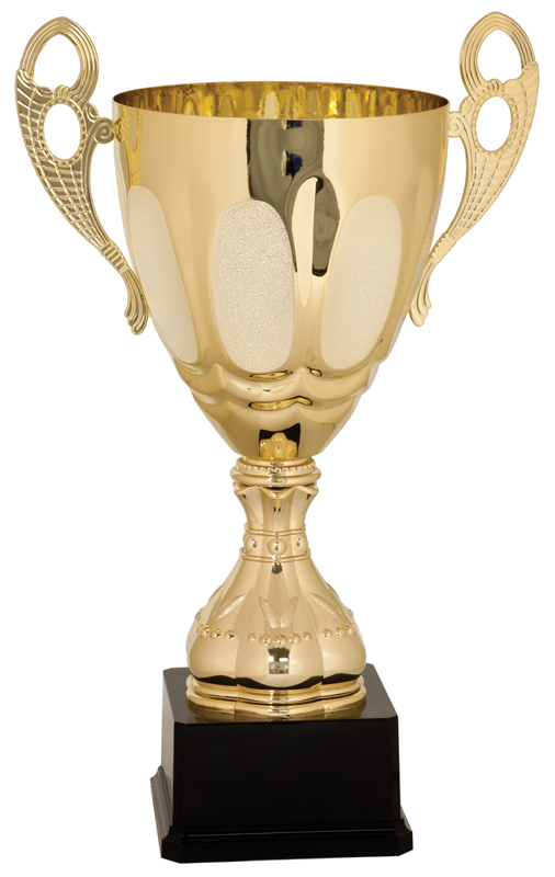 Engraved Trophy Cup Metal trophy Cup
