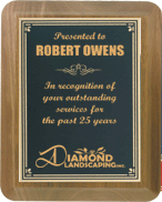 Award Plaques Engraved Plaque Perpetual Plaque